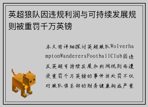 英超狼队因违规利润与可持续发展规则被重罚千万英镑